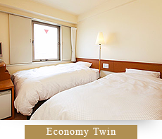Economy Twin